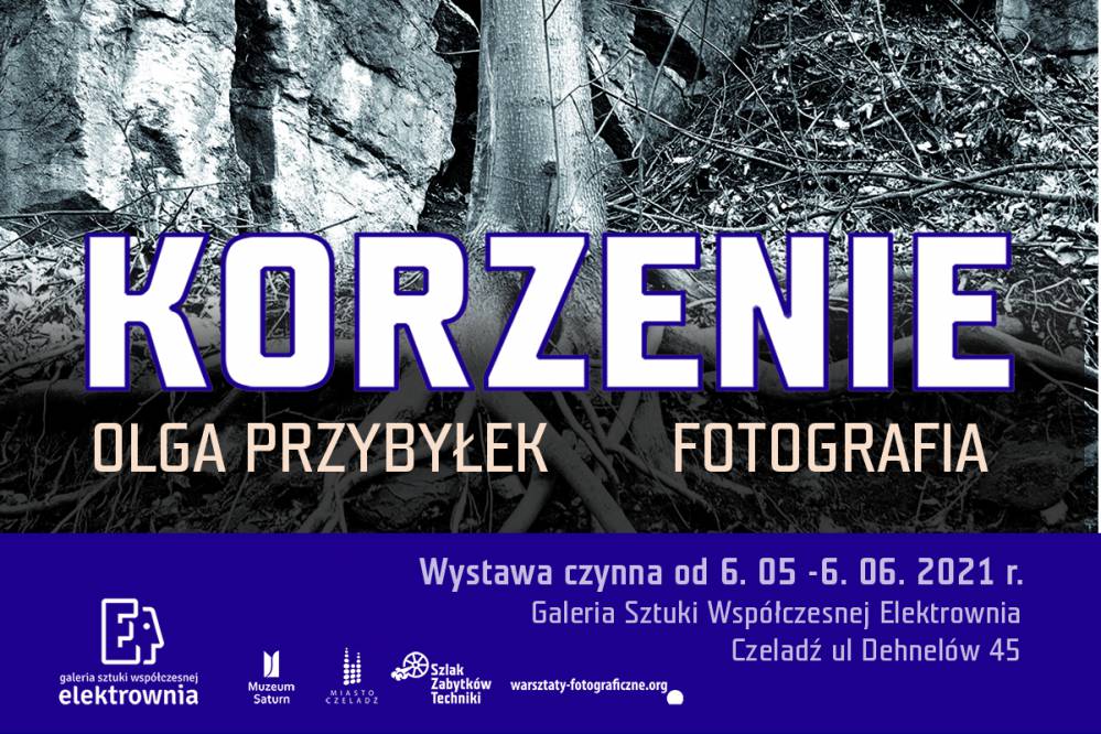 Wystawa Korzenie